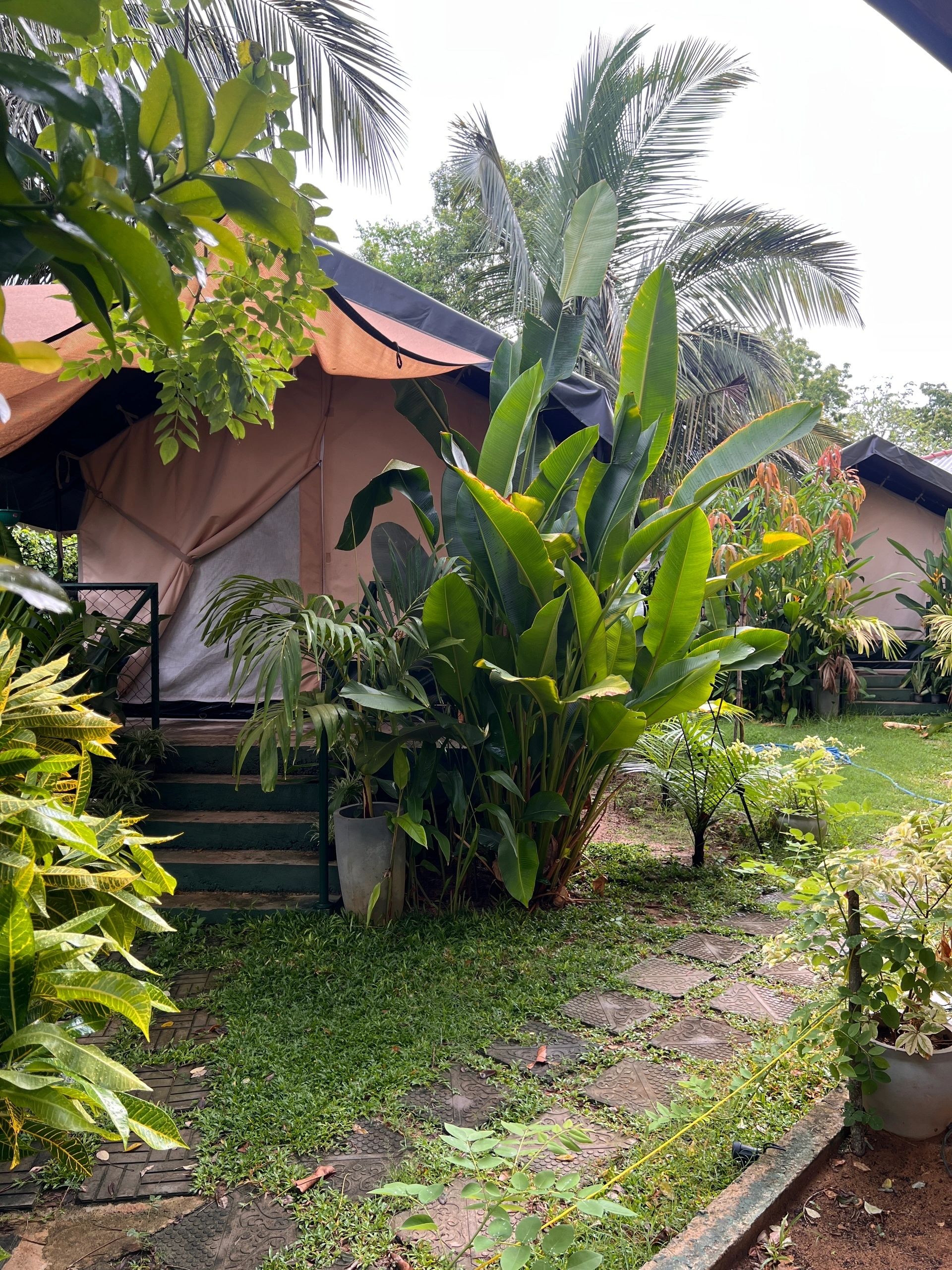 AT ONE with Nature – Luxury Glamping Resort, Rekawa gallery photo 4