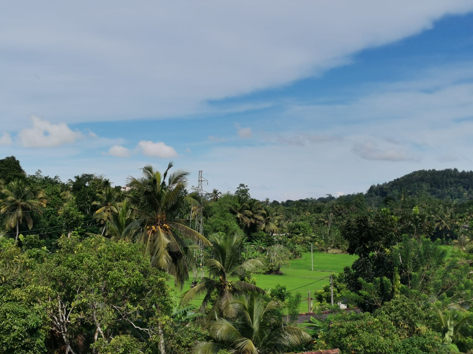 Y Villa Residencies — Galle gallery photo 9